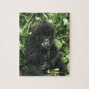 Search for gorilla puzzles Baby