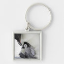 Search for penguin photo key rings Antarctica