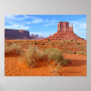 Search for monument valley print posters Cactus