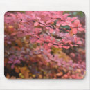 Search for tree picture mouse mats Red