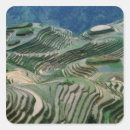 Search for rice field stickers Mountain