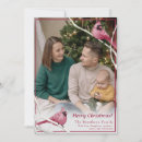 Search for cute cardinal cards Red cardinal bird