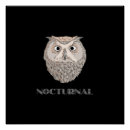 Search for nocturnal posters Owl