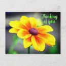 Search for singles postcards For her