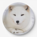 Search for cute arctic fox crafts party Wildlife
