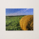 Search for north dakota puzzles Farm