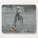 Search for weimaraner mouse mats Puppy
