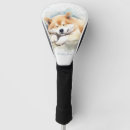 Search for sleeping angel Dog