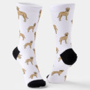 Search for labrador socks Animal