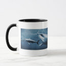 Search for aggression home living Sealife