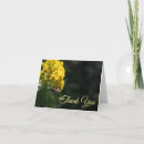 Search for bumblebee cards Insect