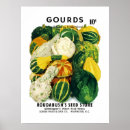 Search for gourd Vegetable