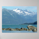 Search for bald posters Scenic