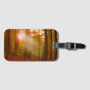 Search for beech accessories Fall