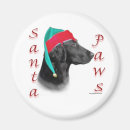 Search for dog coat magnets Dogs