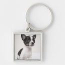Search for purebred key rings Looking at camera