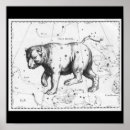 Search for ursa major posters Vintage