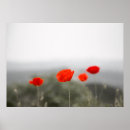 Search for beautiful garden posters Foliage