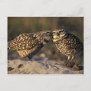 Search for bonding postcards Close up
