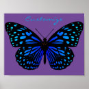 Search for flying insects and bugs posters Butterfly