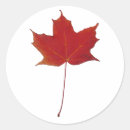 Search for red maple leaf stickers Patriotic