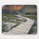 Search for internal mouse mats Land