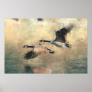 Search for flying geese art Nature