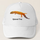 Search for lizard hats Animal