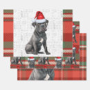 Search for cane corso wrapping paper Pets