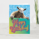 Search for ant birthday cards Funny