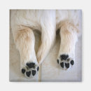 Search for dog butt magnets Animal