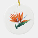 Search for birds of paradise christmas tree decorations Botanical