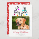 Search for funny reindeer photo christmas cards Dog