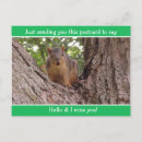 Search for just to say hello postcards Nature