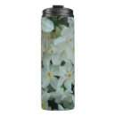 Search for spring bulbs mugs Daffodil