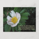 Search for compassion postcards Buddhist