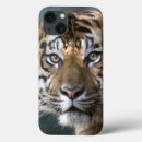 Search for tiger ipad cases Captive