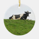 Search for holsteiner christmas tree decorations Farm
