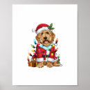 Search for labradoodle dog posters Animal