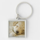 Search for two headed key rings Close up
