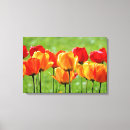Search for tulip easter art Nature