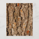 Search for nature scrapbook paper Trendy