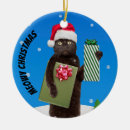 Search for anyone christmas tree decorations Funny