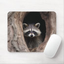 Search for cave mouse mats Animal