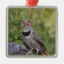 Search for colorado springs christmas tree decorations Usa