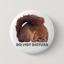 Search for red squirrel badges Rodent