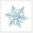 Search for pretty snowflakes stickers Winter