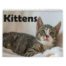 Search for cute kitten calendars Animal lover