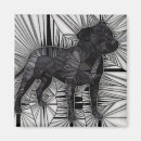 Search for staffies magnets Bull