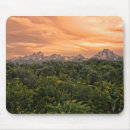 Search for jackson electronics Forest